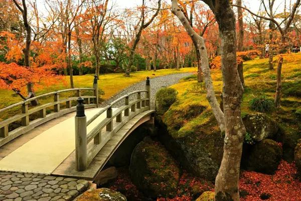 Vườn kiểng tại Hakone