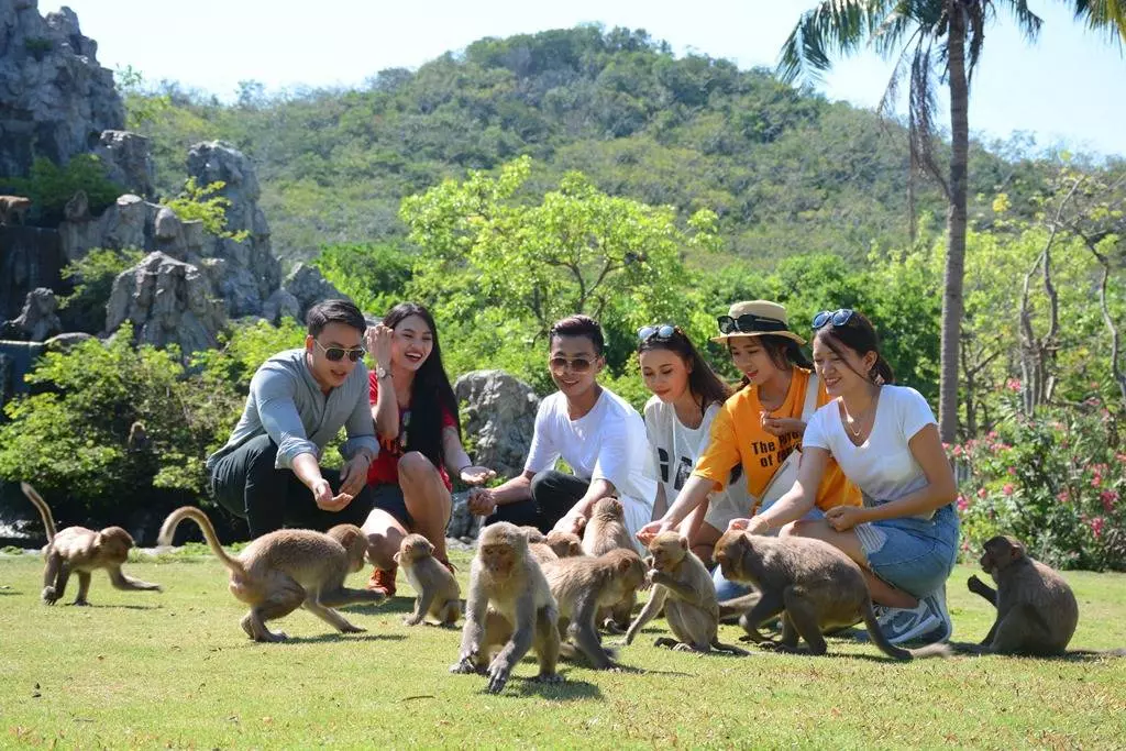 Đảo Khỉ là một địa điểm check-in Nha Trang rất được yêu thích bởi đây là nơi sinh sống của hơn 1.000 loài khỉ khác nhau