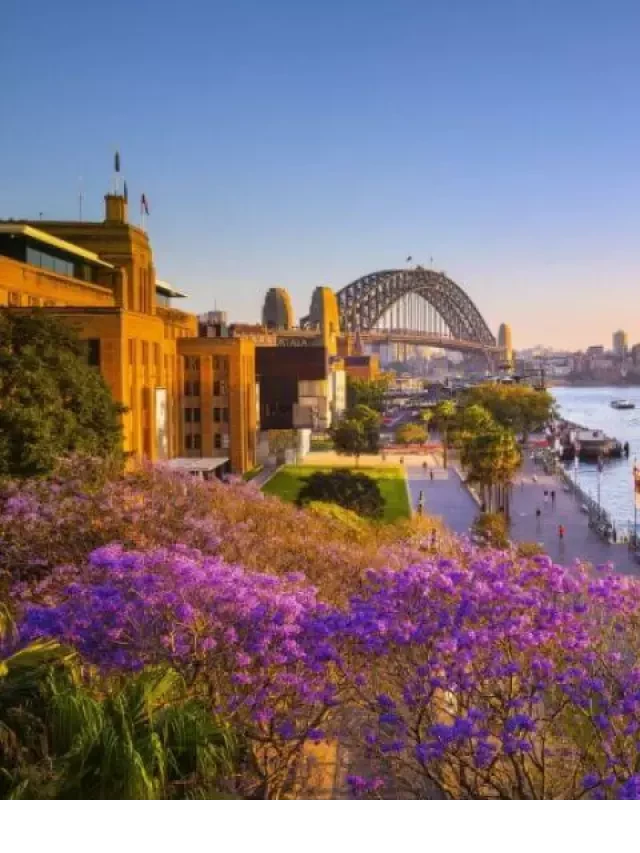   Kinh nghiệm du lịch Úc mùa xuân: Lễ hội hoa và cảm nhận thiên nhiên tươi đẹp