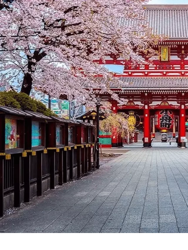   Du lịch Nhật Bản: Tìm hiểu về đất nước mặt trời mọc
