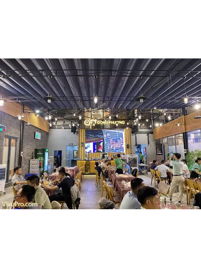   16+ Nhà hàng Quán nhậu Hòa Xuân Đà Nẵng: Một hành trình ẩm thực hấp dẫn